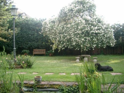 Bastgen Bed & Breakfast Wittlich Exterior foto